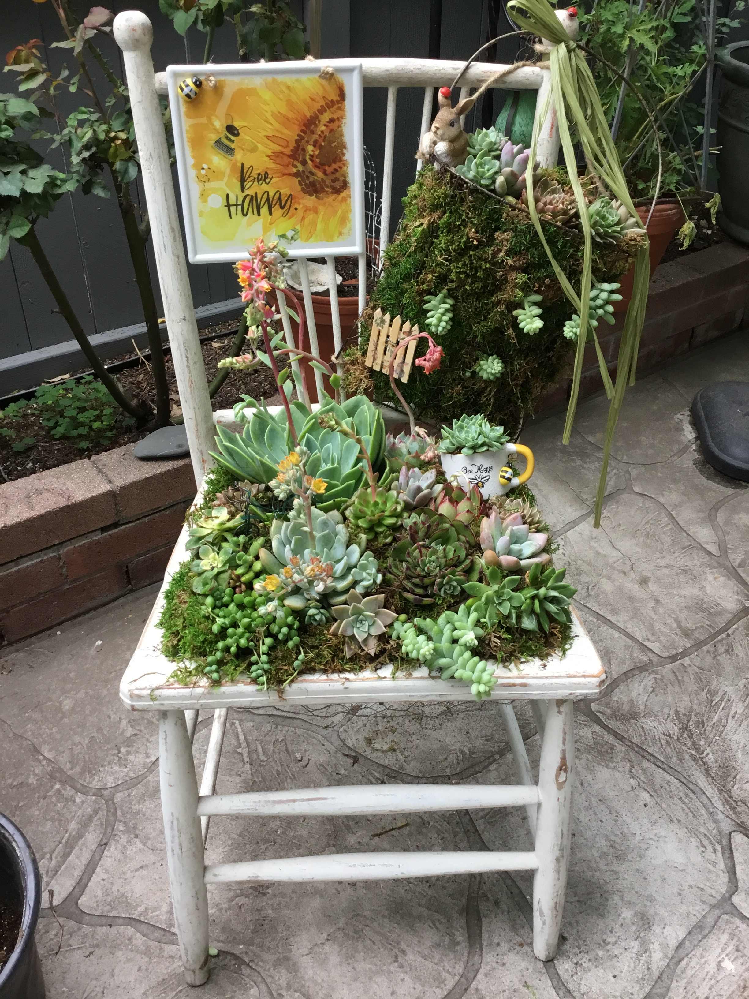 Succulent arrangement on a white chair with a bee-themed sign