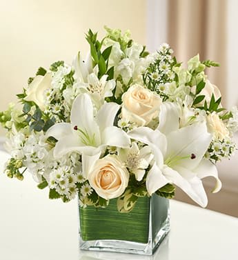 Healing Tears - All White - Product ID: 95378  Elegant white flowers help to convey your deepest sympathies with graceful beauty that heals the soul. Our lovely cube vase arrangement offers a lasting tribute to friends and family members, crafted from fresh roses, lilies, snapdragons, monte casino and more. Elegant, all-white arrangement of roses, lilies, snapdragons, monte casino, stock and alstroemeria, accented with variegated pittosporum, myrtle and spiral eucalyptus Artistically designed by our florists in a classic clear glass cube vase lined with a Ti leaf ribbon; vase measures 5"H x 5"D Appropriate for the service or for sending to the home or office of friends and family members Large arrangement measures approximately 11"H x 11"L Medium arrangement measures approximately 10"H x 10"L Small arrangement does not include roses and measures approximately 9"H x 9"L Our florists hand-design each arrangement, so colors, varieties, and container may vary due to local availability Lilies may arrive in bud form and will open to full beauty over the next 2-3 days