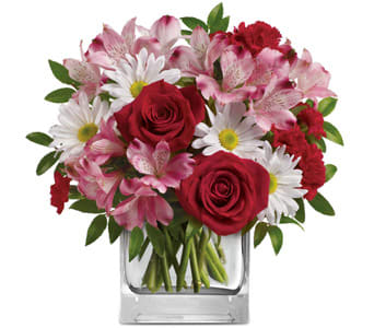 Lasting Love - A long lasting mix of daisies, carnations, and alstroemerias kissed by red roses makes this a great gift for that someone you love. 