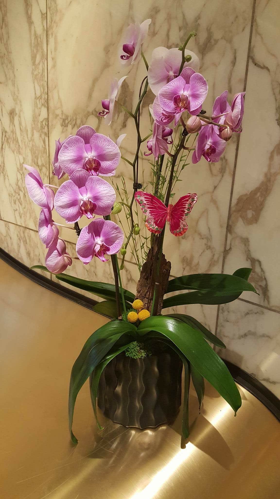 Pink orchids arranged in a dark vase with a decorative butterfly