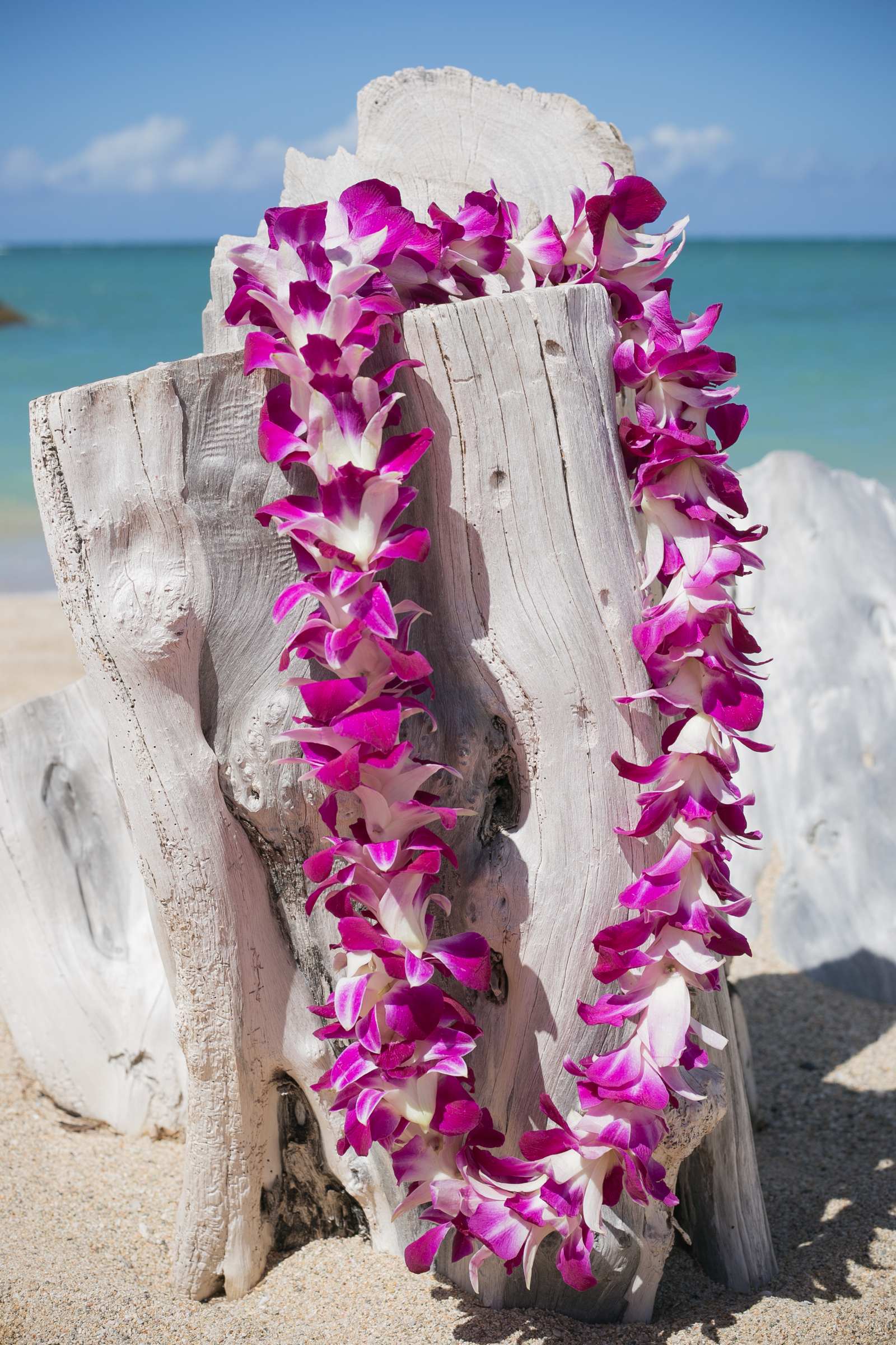 Two purple and white orchid leis draped over driftwood on a beach