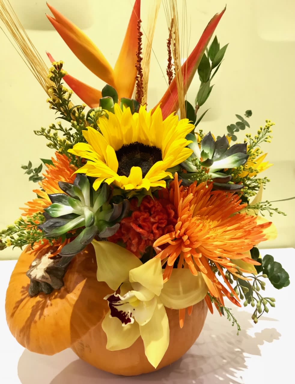 jack-o'-lantern - This arrangement/centerpiece is perfect for the month of October, and Thanksgiving. This stunning collection of autumnal colors, is arranged In a real Pumpkin or ceramic composed of sunflowers, succulents, birds of paradise and mums. (seasonal) 