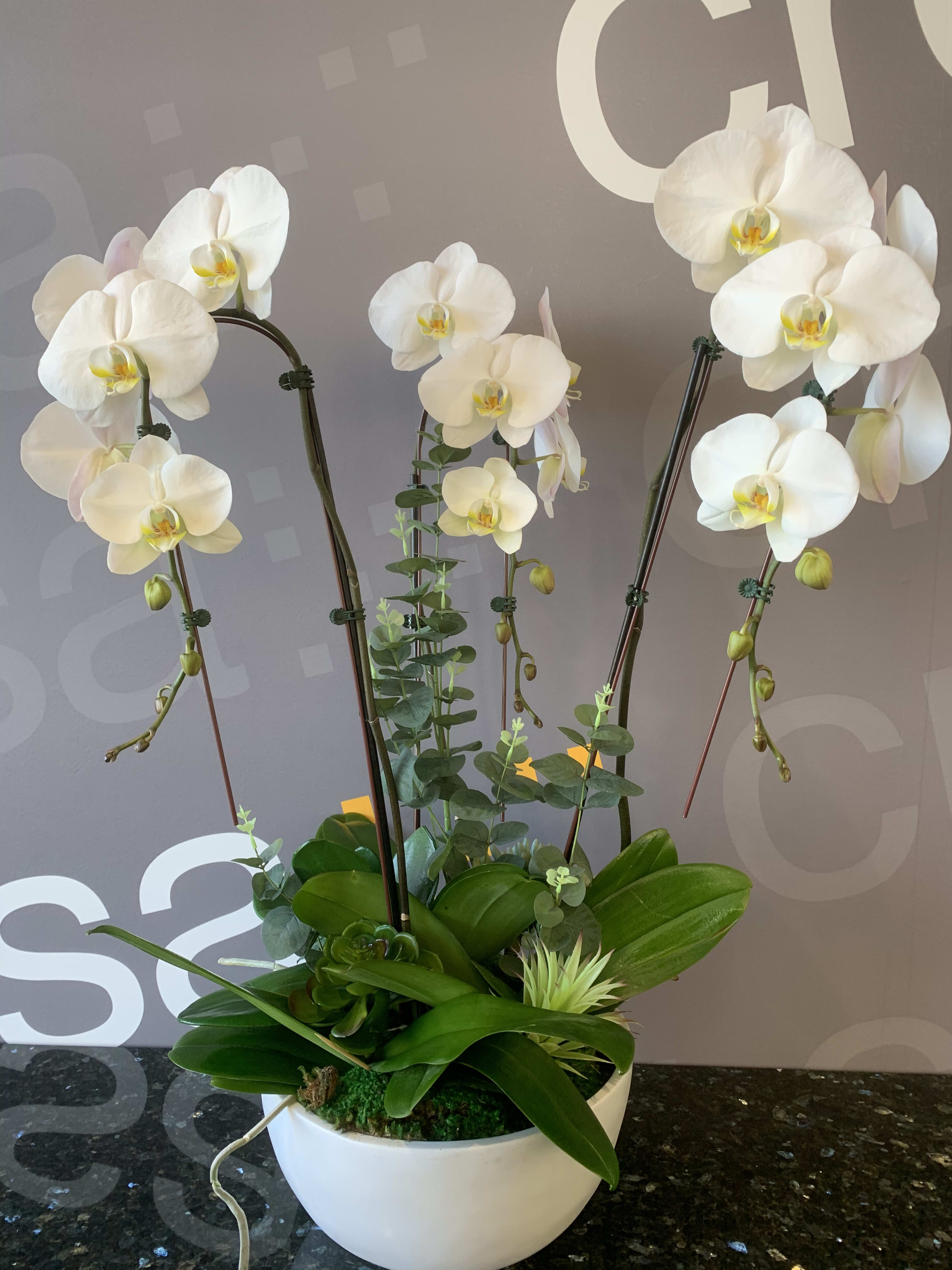 White orchids arranged in a white bowl planter