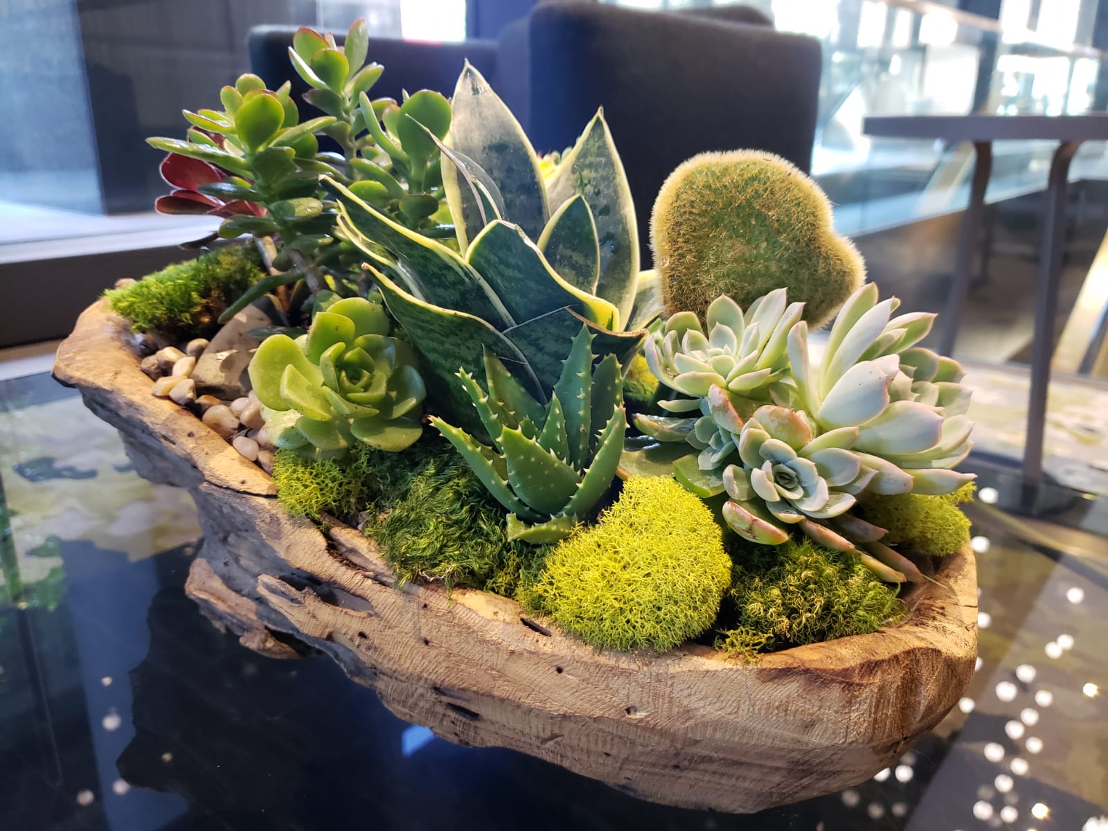 Assorted succulents and moss arranged in a rustic wooden bowl planter