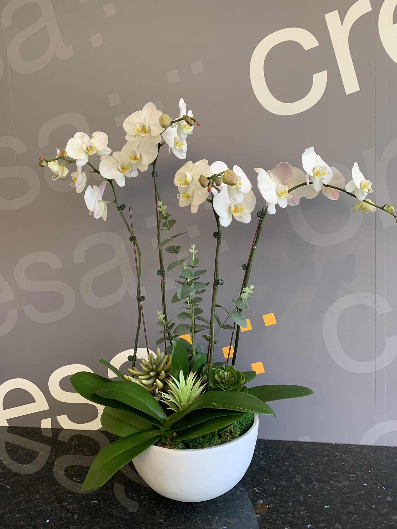 White orchids arranged in a white bowl planter with succulents