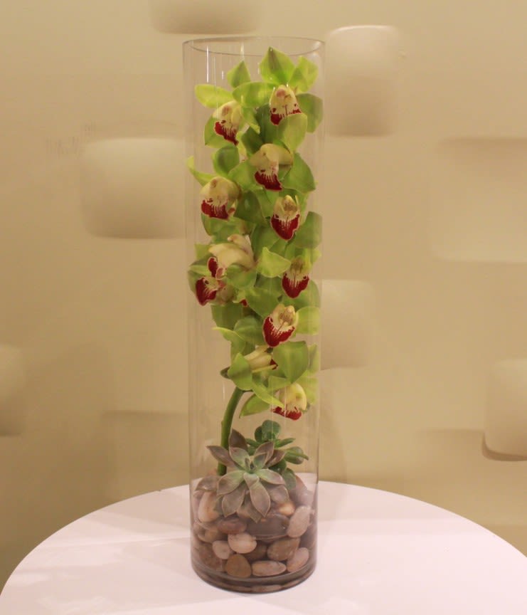 Tall orchid arrangement in a clear cylinder vase with succulents and stones