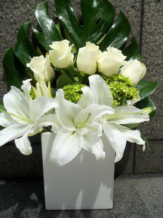White roses and lilies in a white vase with dark green leaves