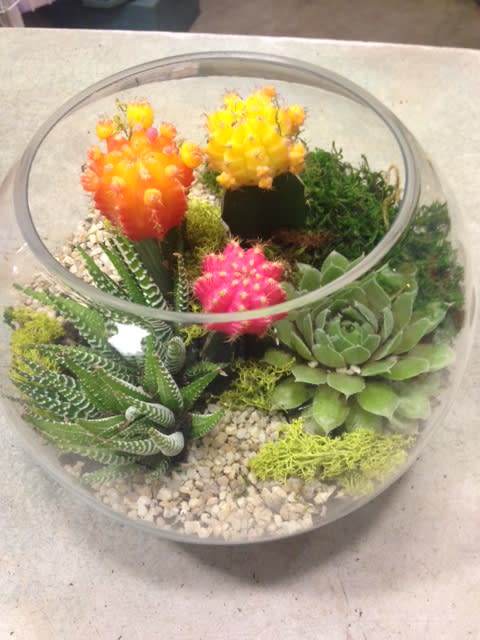 Glass bowl terrarium with colorful cacti and succulents on pebbles