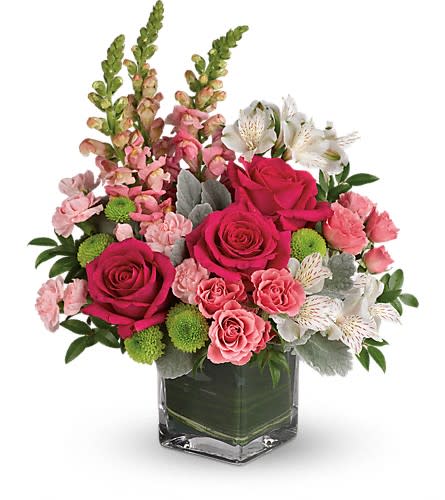 Teleflora's Garden Girl Bouquet - Fun and feminine this hot pink bouquet is reminiscent of a spring garden party with friends! Stunning roses delicate alstroemeria and dramatic snapdragons are hand-delivered in a classic cube vase lined with a green leaf - a surprise gift that'll touch her heart no matter the occasion. Hot pink roses pink spray roses white alstroemeria pink miniature carnations green button spray chrysanthemums and pink snapdragons are arranged with dusty miller huckleberry and variegated aspidistra leaf. Delivered in a clear cube vase. Approximately 14 1/2" W x 17" H Orientation: All-Around As Shown : T600-5ADeluxe : T600-5BPremium : T600-5C