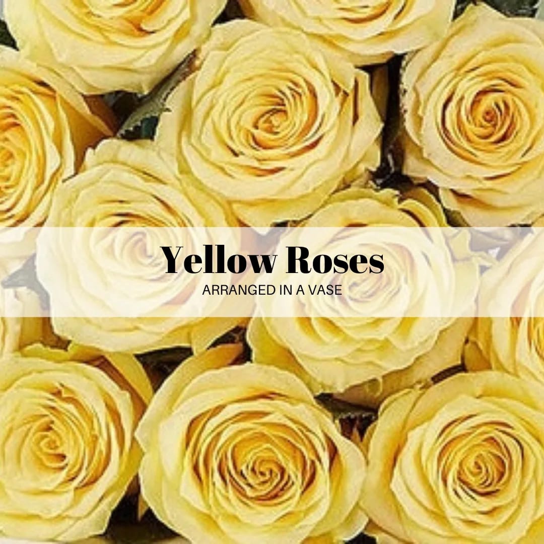 Yellow roses arranged in a vase