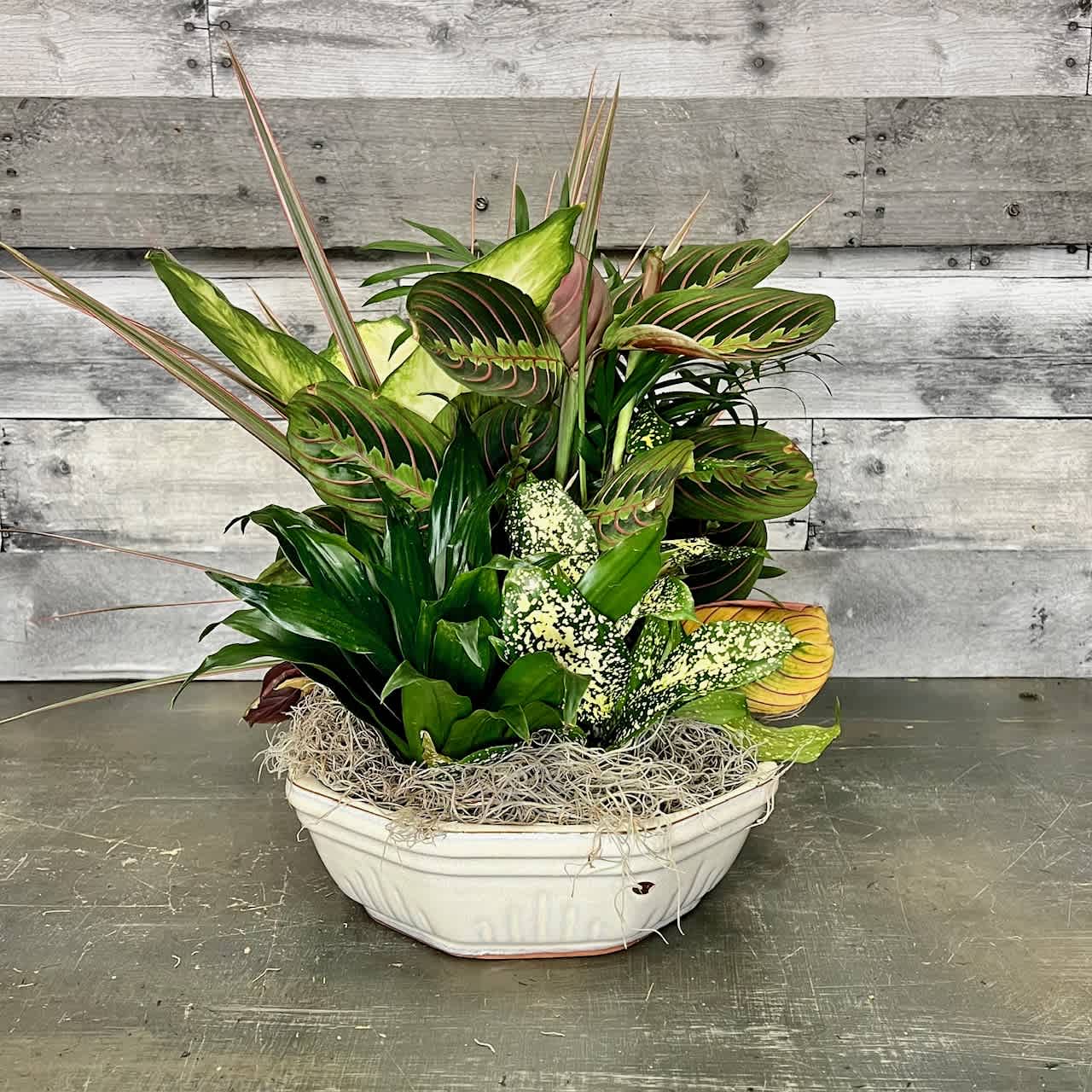 Tropical foliage arrangement in a white oval planter