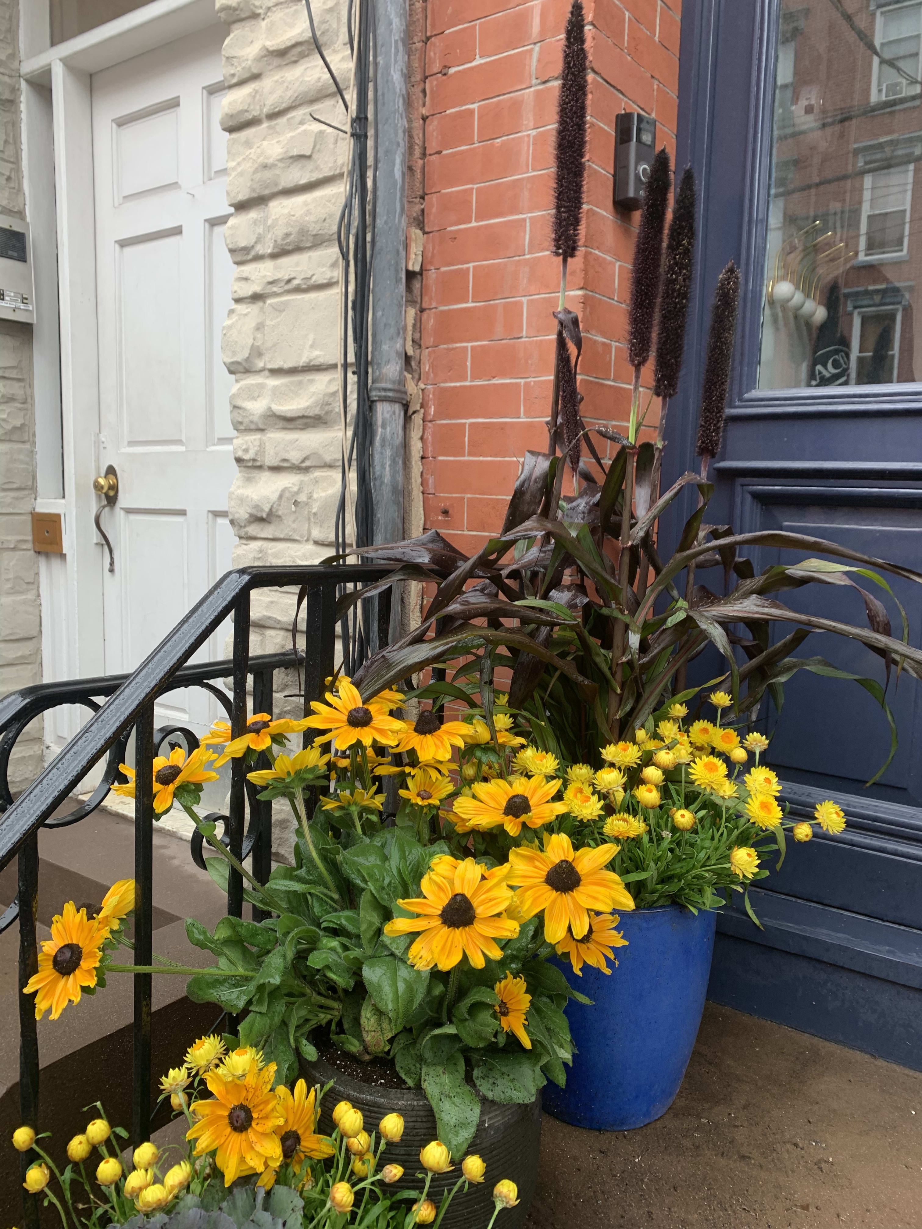 Potted yellow daisy-like flowers beside a doorway
