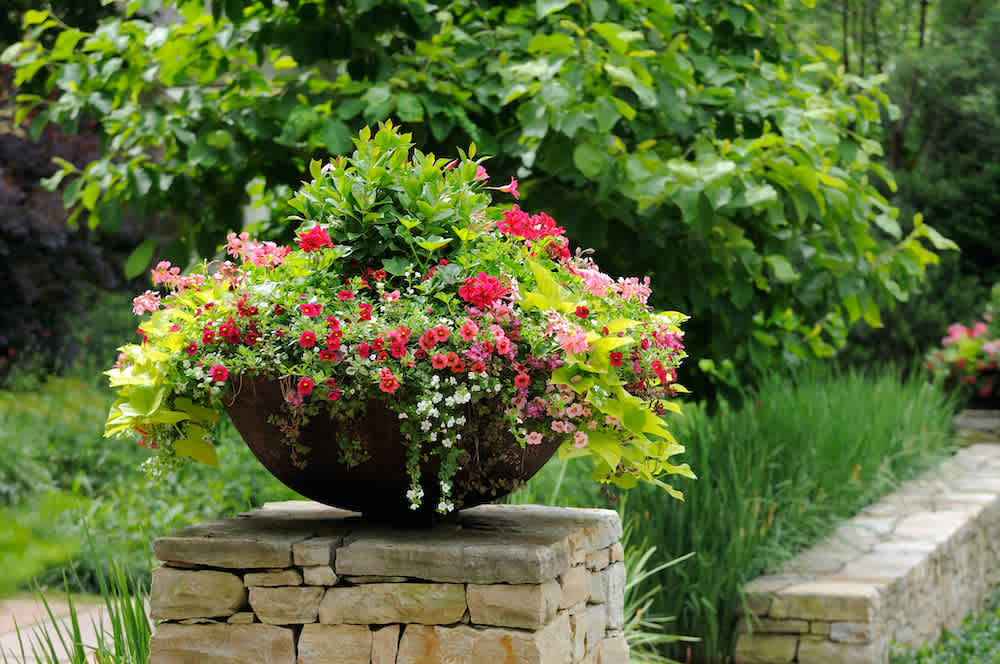 Mixed pink and red flowers in a large bowl planter outdoors