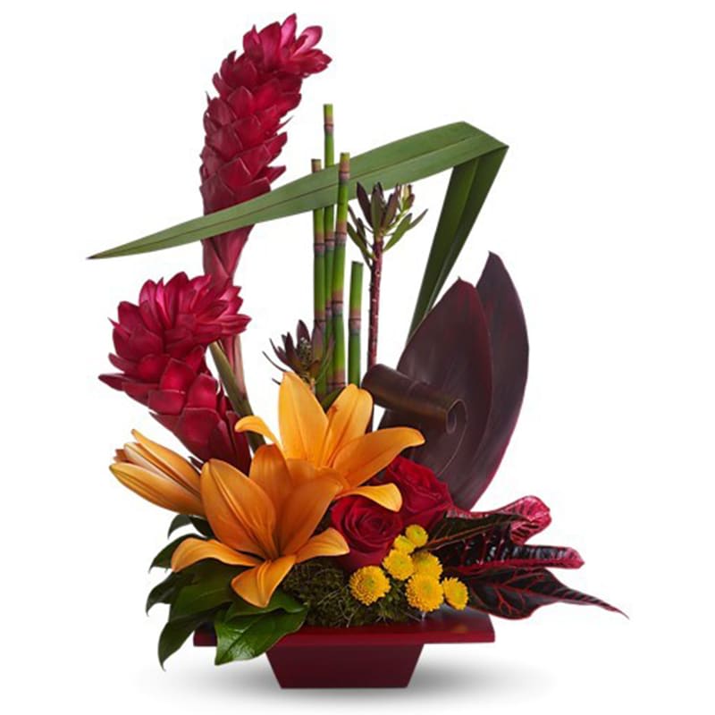 Tropical Bliss [T85-1A] - Now this is bliss! This tropical and tasteful creation is a beautiful and dramatic way to say something wonderful without using any words.  Dark red roses, orange asiatic lilies, green leucadendron, yellow button spray chrysanthemums, and tropical greens are delivered in a red bamboo dish. Don't miss this chance to send bliss!  Approximately 16" W x 20" H  Orientation: One-Sided      As Shown : T85-1A