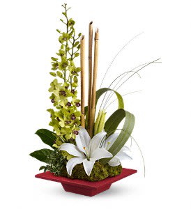 Secret Oasis [TEV12-1A] - This lovely, serene bouquet makes a Zen-sational gift for any special occasion. They'll be thrilled with this artistic arrangement of orchids, lilies and exotic accents in a red bamboo dish. It's like a trip to Shangri-La.  This exotic arrangement includes green dendrobium orchids, white asiatic lilies, an aralia leaf, green flax, bear grass, oregonia and mood moss accented with pieces of natural river cane. Delivered in a red bamboo dish.  Approximately 15 1/2" W x 22 1/2" H  Orientation: One-Sided      As Shown : TEV12-1A