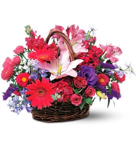  Just for You [TF12-1] - This striking array of pink and purple flowers is the perfect way to show just how much you're thinking of someone special.  Oriental lilies, stock, delphinium and gerberas are just some of the flowers arranged in a natural vine basket.  Approximately 17" W x 14" H  Orientation: All-Around      As Shown : TF12-1  