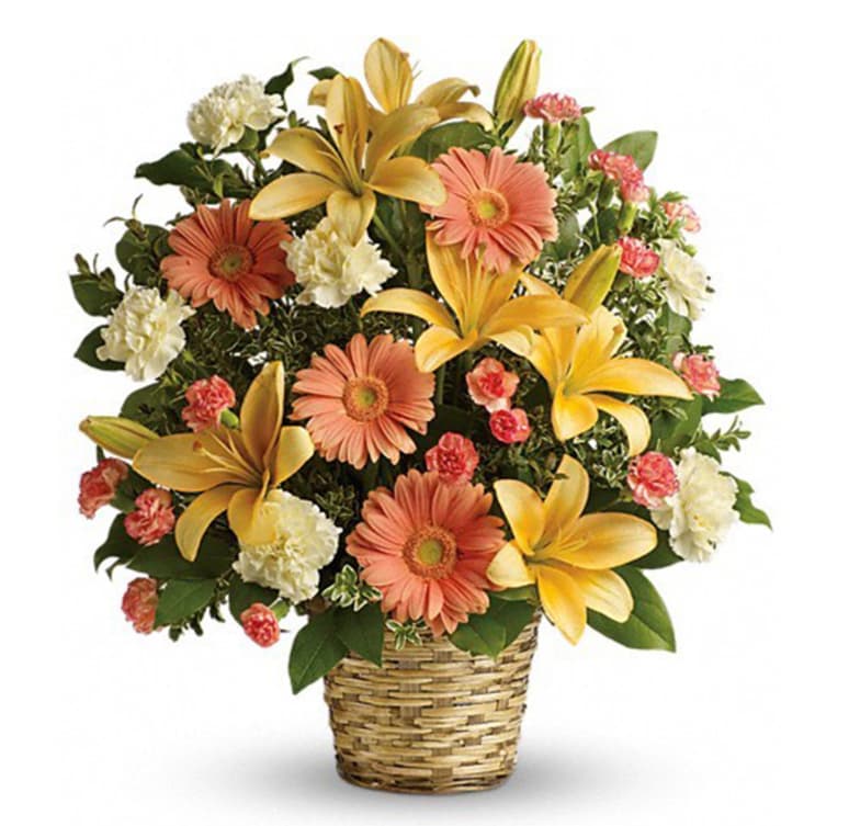 Soft Sentiments Basket Arrangement - Soft Sentiments Basket Arrangement by Twin Towers Florist