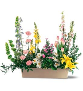  Springtime Splendor [TF199-8] - A bright collection of springtime flowers brings the outdoors inside. This unique floral design showcases flowers grouped as they grow in nature.  Each arrangement includes delphinium, snapdragons, tulips, lilies and asters.    Orientation: One-Sided      As Shown : TF199-8  