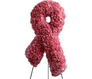  Symbol of Hope [TFWEB528] - Almost four dozen fragrant pink carnations - a pavé of fresh flowers, formed into a "pink ribbon" display - express the hope that someday a cure will be found for breast cancer. A lovely sentiment.  A standing wreath created from pink carnations and miniature carnations is delivered on an easel.  Approximately 13" (W) x 24" (H) (Dimensions do not include easel.)  Orientation: One-Sided      As Shown : TFWEB528  