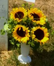 SUNNY SUNFLOWERS FOR ANC [TT-ANC56] - SUNNY SUNFLOWERS IN CEMETERY CONTAINER BY TWIN TOWERS FLORIST      As Shown : TT-ANC56 