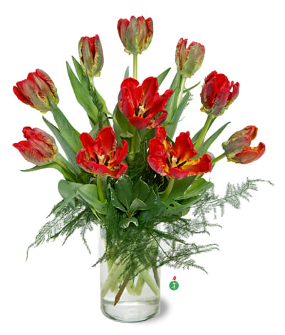 Parrot Tulips - Flamboyant and colorful, parrot tulips – with their feathered, curled petals in bright, showy colors – create a dramatic bouquet. If you know someone who loves springtime flowers, and bulb blossoms in general, these pretty blooms will be a genuine treat.