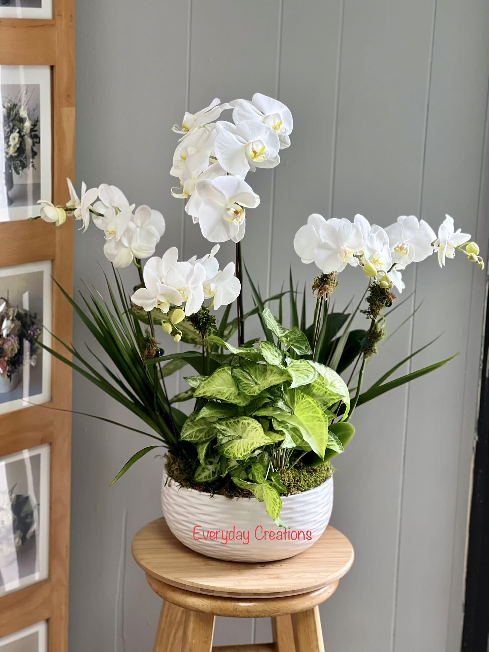 White orchids arranged in a white bowl planter with green foliage.