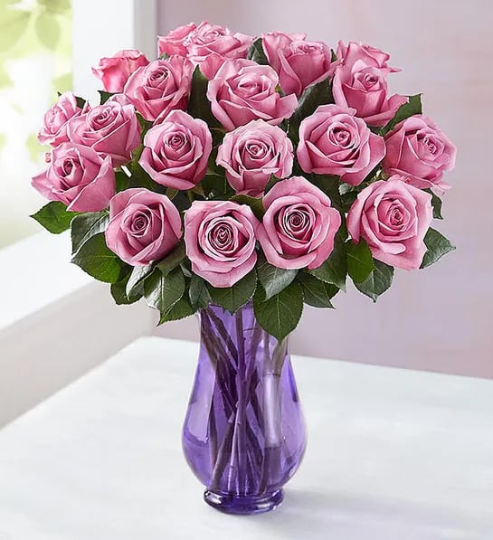 Pink roses arranged in a purple glass vase