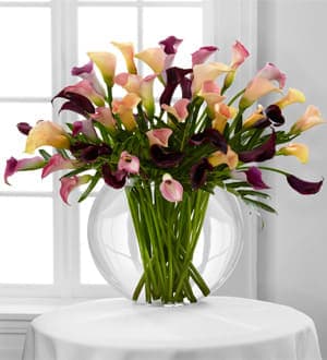 Bouquet of multicolored calla lilies in a clear glass vase