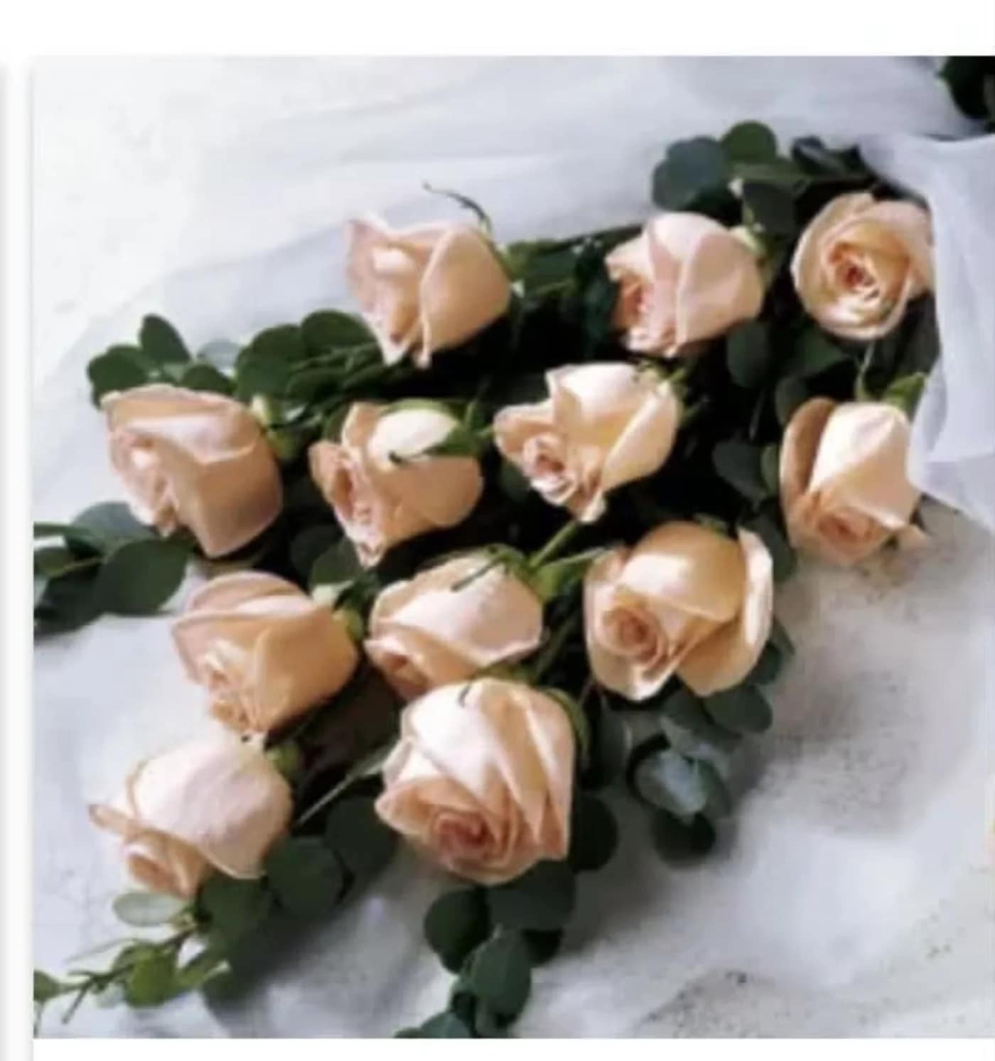 Loose stems of pale peach roses with dark foliage on a white surface