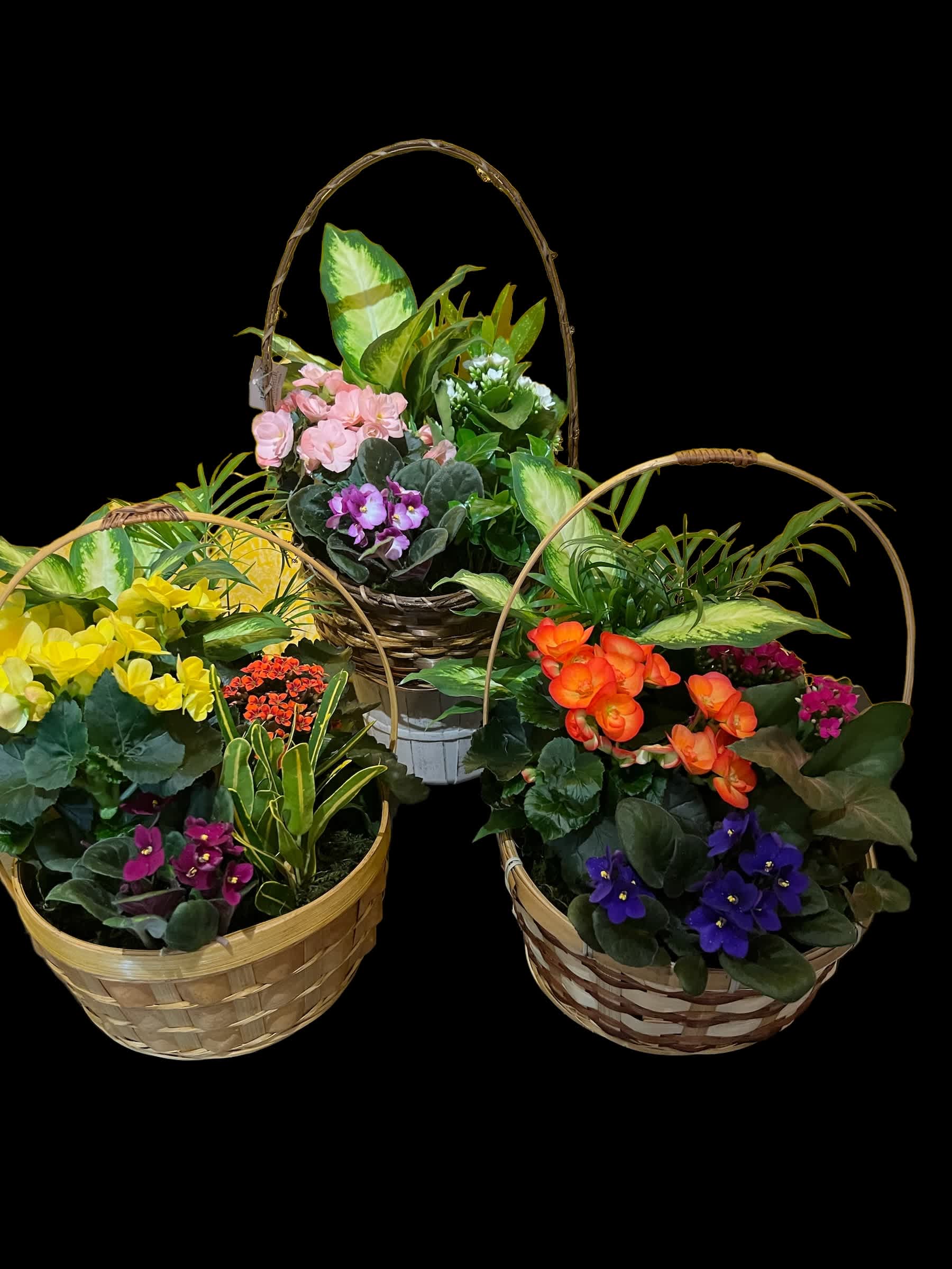 Three wicker baskets of mixed potted flowers and plants