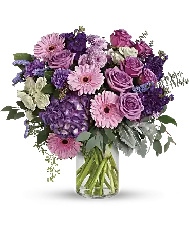 Magnificent Mauves - Bring beauty to any occasion with the deep purples and playful pinks of this breathtaking bouquet. This magnificent bouquet features purple hydrangea, lavender roses, crème spray roses, pink gerberas, lavender carnations, purple stock, lavender cushion spray chrysanthemums, lavender sinuata statice, dusty miller, spiral eucalyptus, seeded eucalyptus, silver dollar eucalyptus, and lemon leaf. Delivered in a clear milk jug vase.