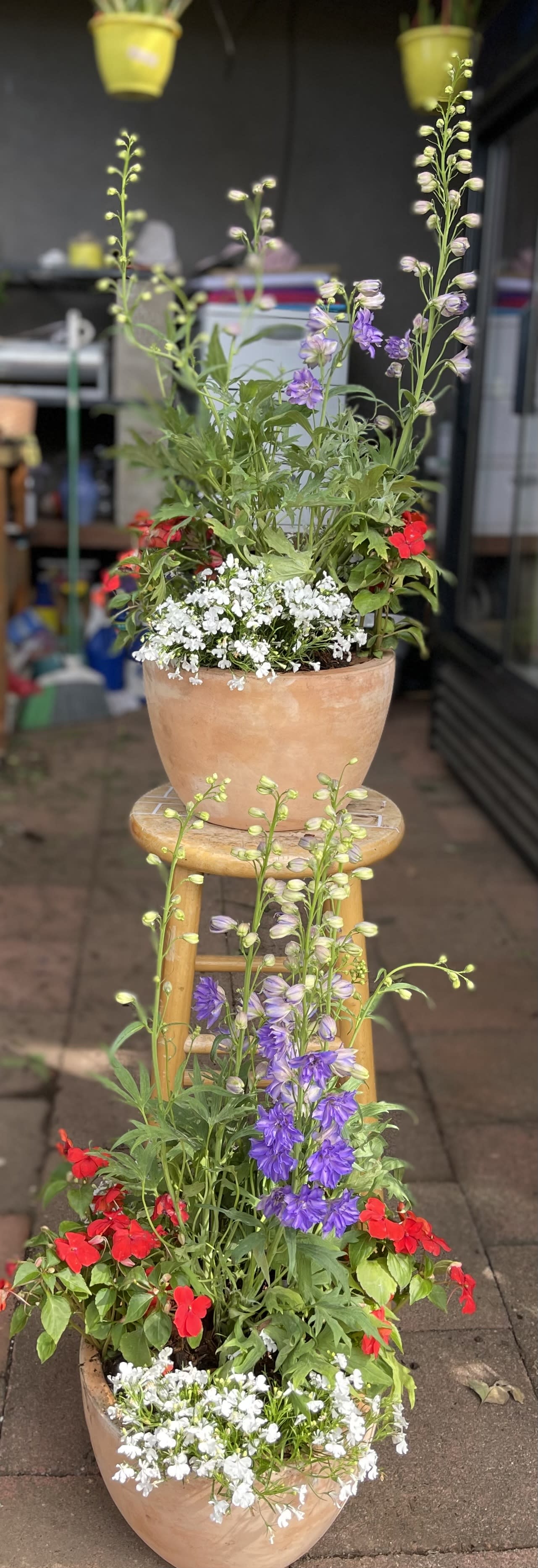 Two terracotta pots of mixed red, white, and purple flowers on a stool