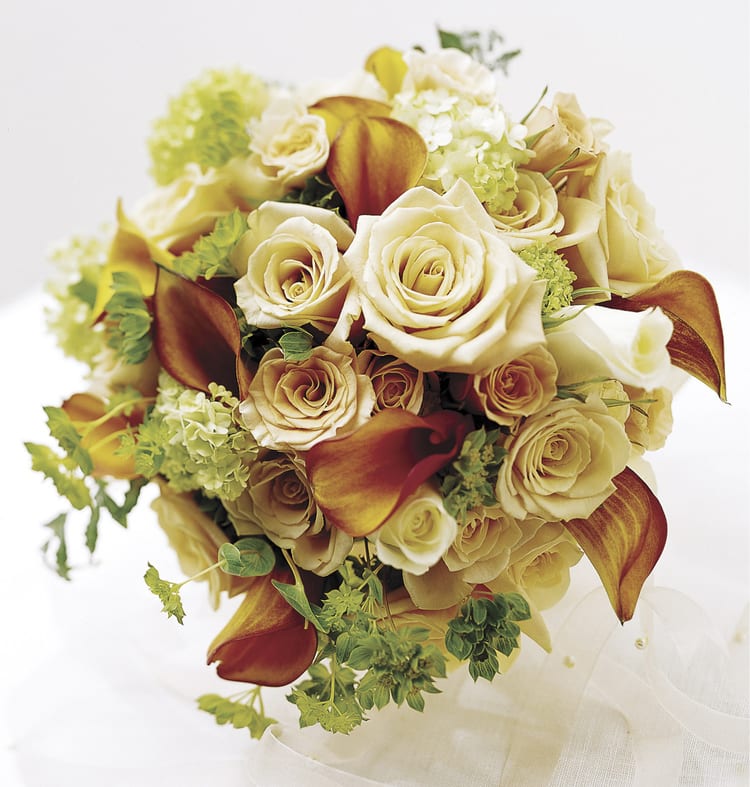 Bouquet of cream roses and burgundy calla lilies