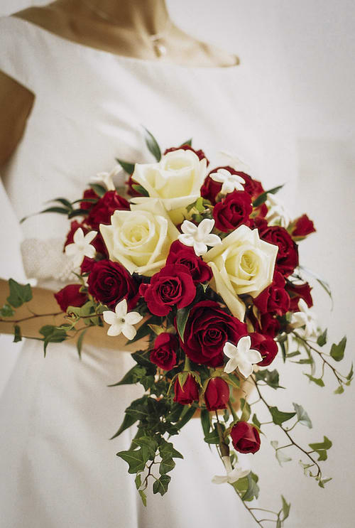 Bridal bouquet of red and white roses with small white flowers