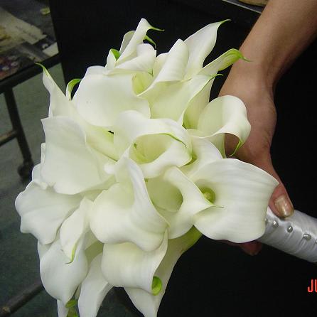 Bouquet of white calla lilies held in a hand