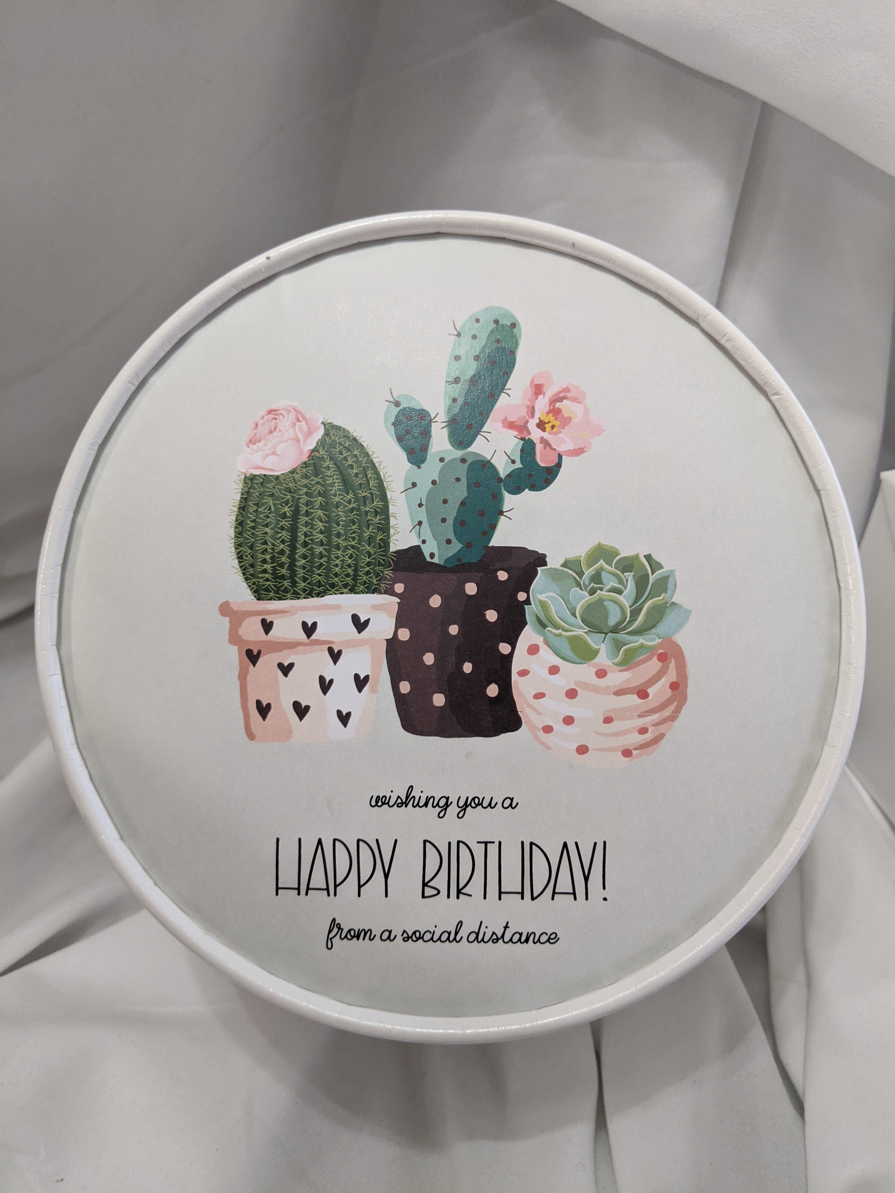 Round birthday sign with potted cacti and succulents