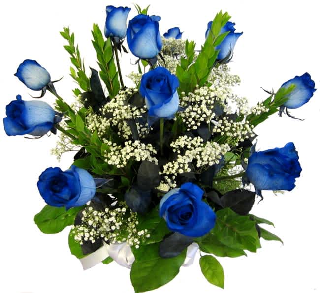 Blue roses with baby's breath in a compact bouquet