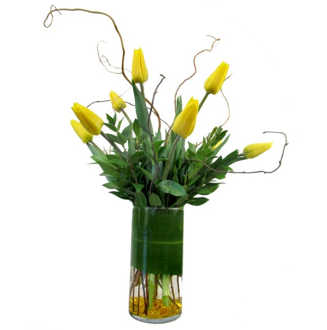 Yellow tulips arranged in a tall glass vase with curly branches