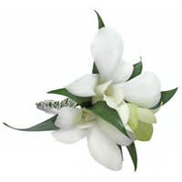 White orchid corsage with green leaves and ribbon