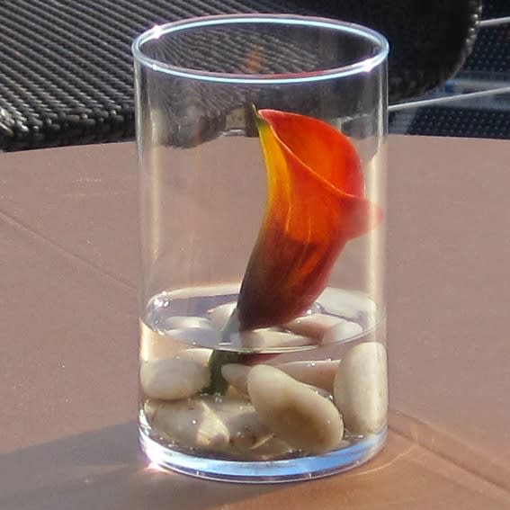 Single orange calla lily in a clear glass vase with white stones