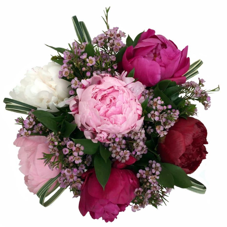 Bouquet of pink and white peonies with small purple filler flowers