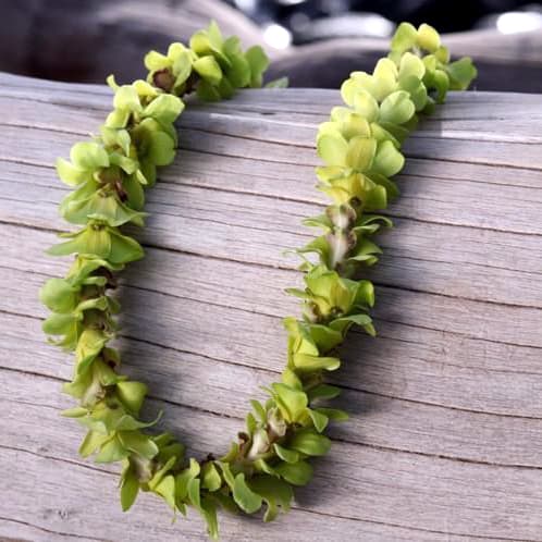 Two green orchid leis on a wooden surface
