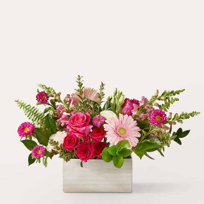 Too Cute Bouquet - Sweet as can be, this blushing bouquet of hot pink blooms is an excellent way to share wished of love, celebration, or comfort 