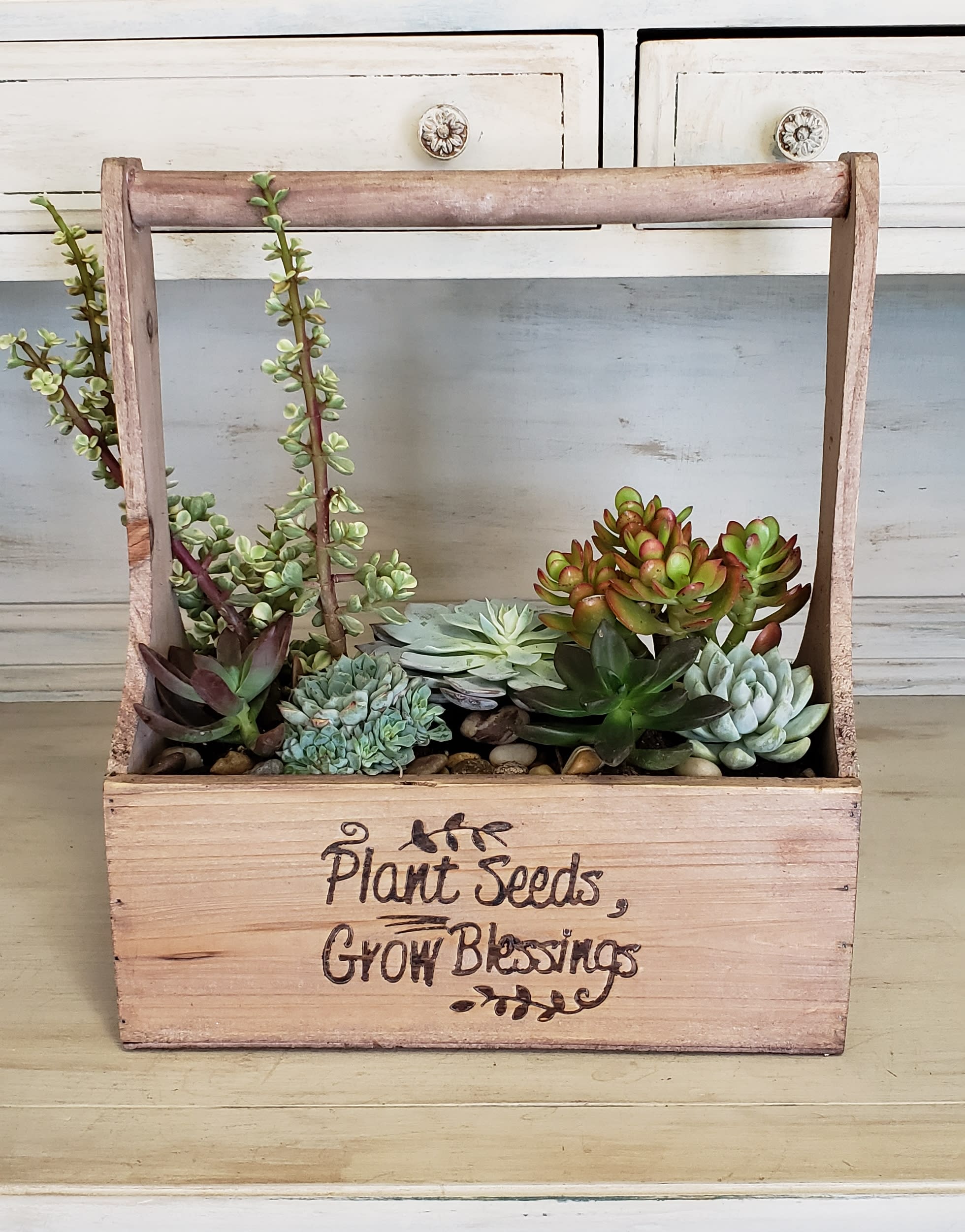 Wooden crate planter filled with assorted succulents