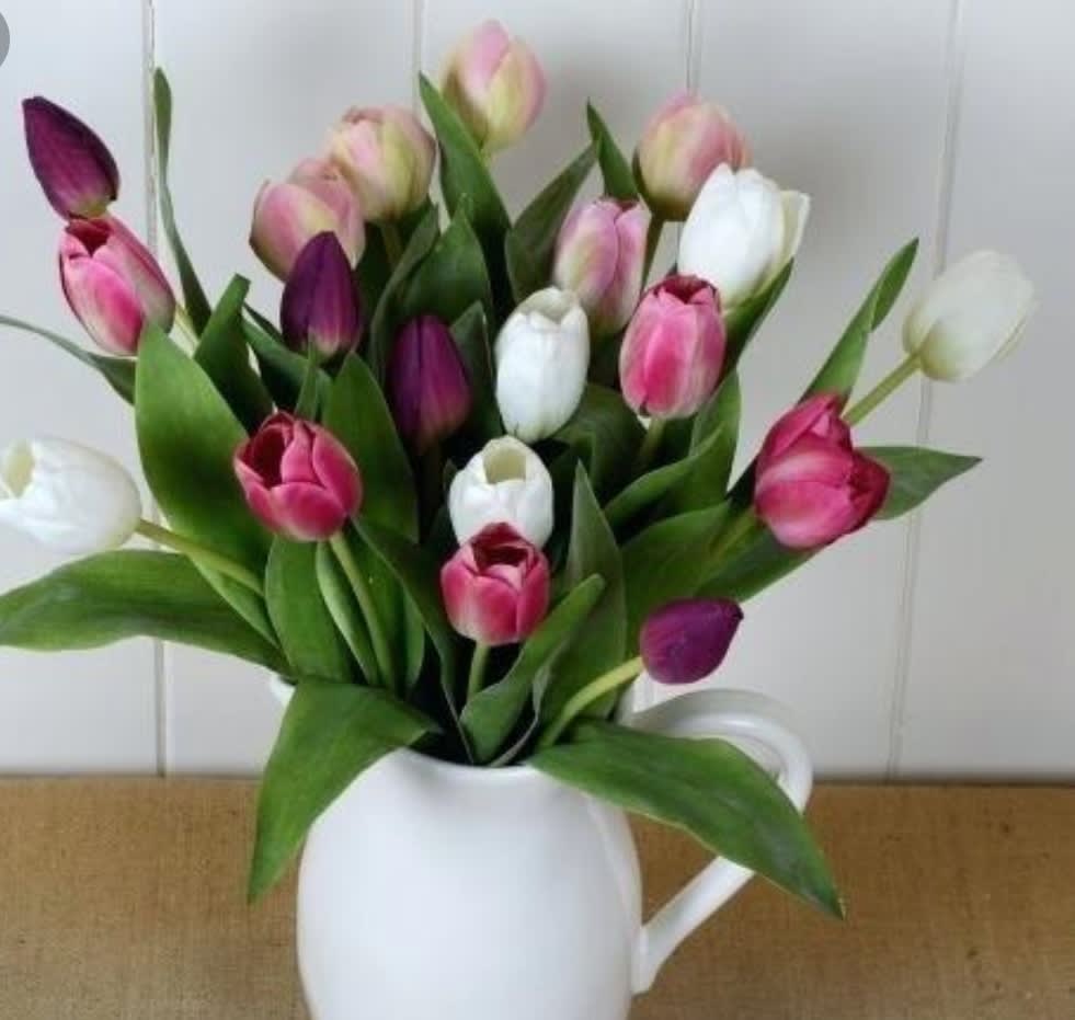 Bouquet of pink, white, and purple tulips in a white pitcher vase