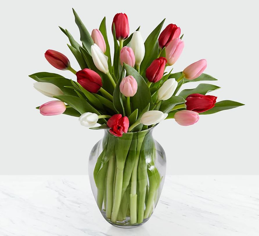 Bouquet of red, pink, and white tulips in a clear glass vase