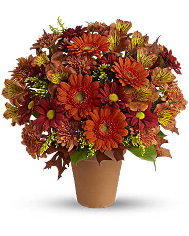 Orange and red daisy bouquet in a terracotta pot