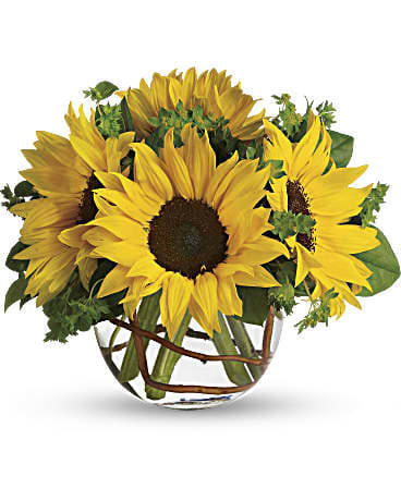 Sunny Sunflower - Whoever receives this stunning bouquet is sure to be bowled over by its bold beauty! It's big on fun and big on flowers.  Sunflowers steal the show in this simple arrangement. Also featured: green bupleurum, salal leaves and a curly willow inside the glass bubble bowl.