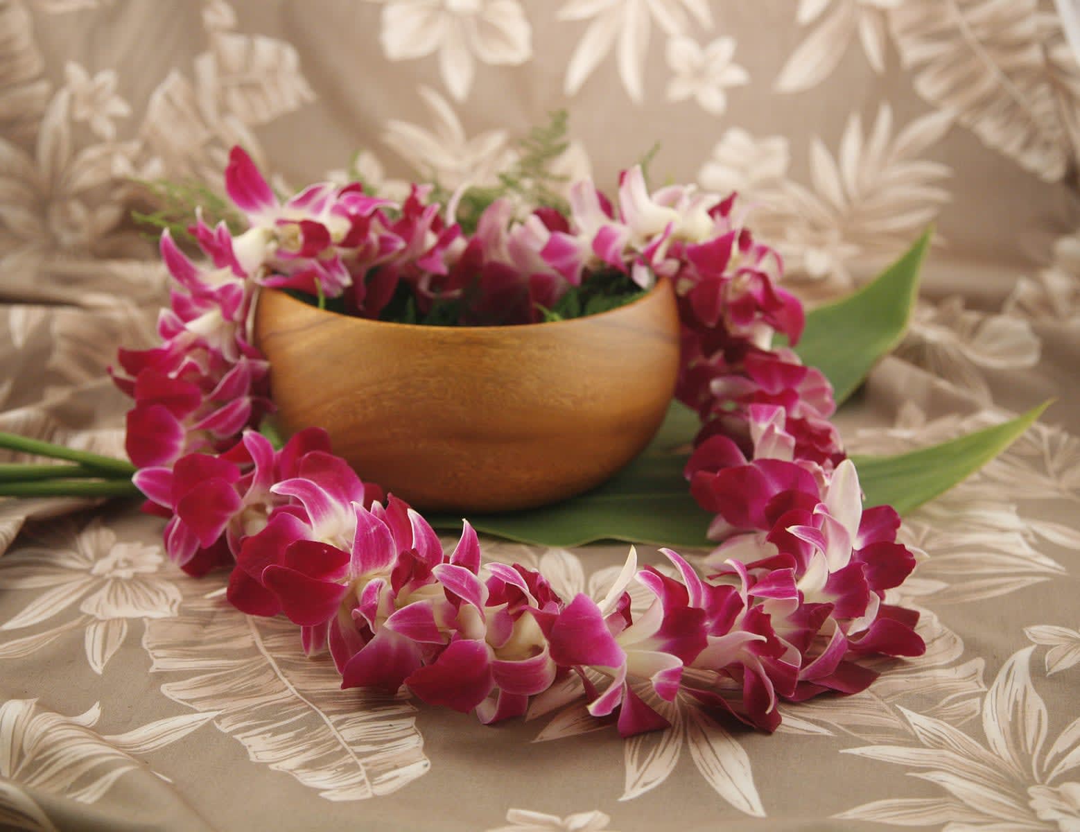 Bombay Double Lei  - A beautiful, premium, bombay (purple) double orchid lei! These leis look great over a graduation gown. Heck, they will look fresh through the ceremony, in the pictures afterwards, on the drive home, and even through the night out! 