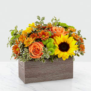 Happy Harvest Garden - Savor the freshness of fall with our Happy Harvest Garden. Packed with a collection of orange roses, bright sunflowers and butterscotch daisy pompons, this arrangement is a gorgeous gift for any occasion this Autumn. Whether it’s for an inviting centerpiece or festive décor in any room, these blooms are sure to bring smiles all season long. 